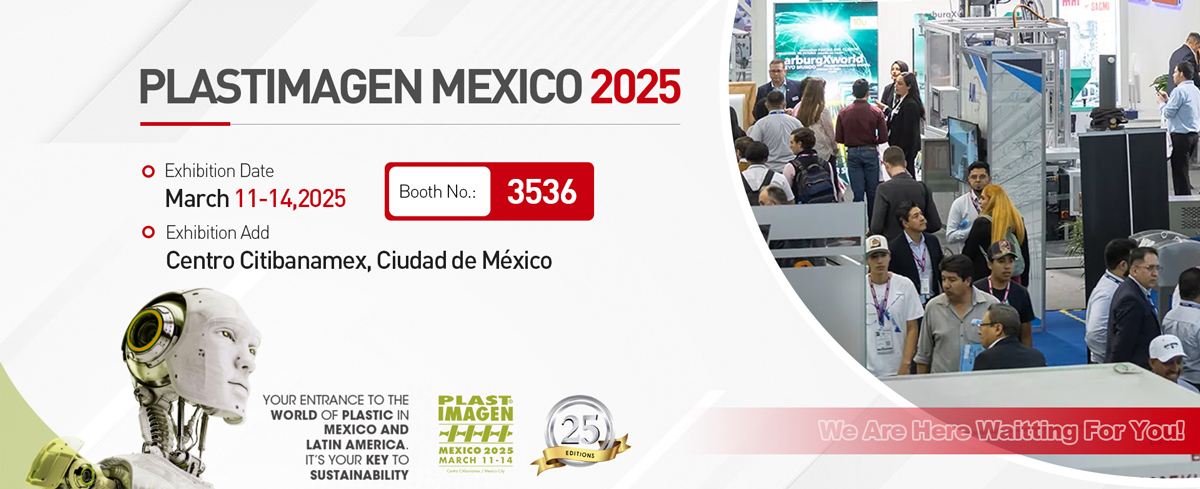 پلاسٹیماجین میکسیکو ۲۰۲۵ ۱